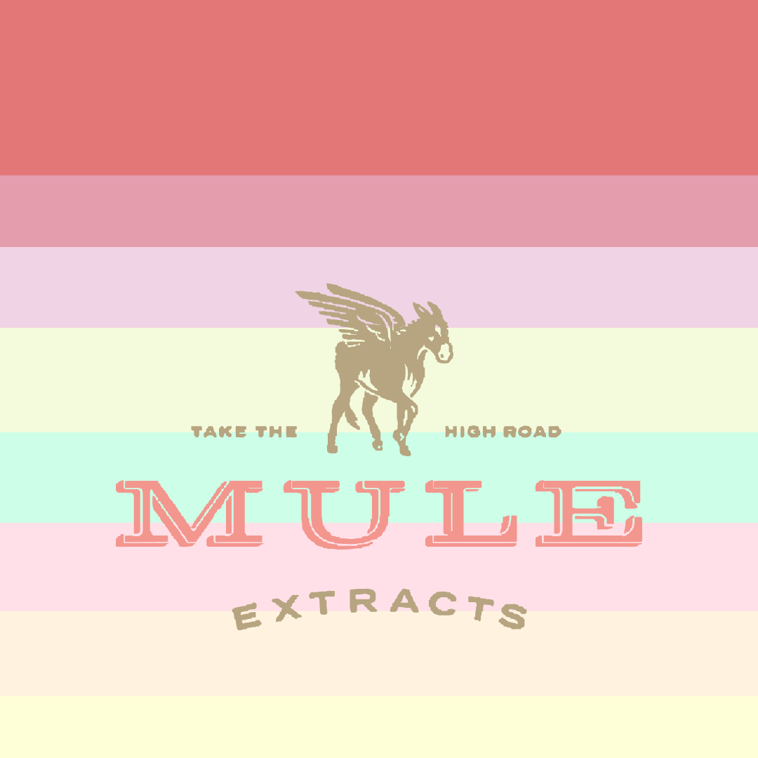 Peach 100 Gummy 1pc | Mule Extracts