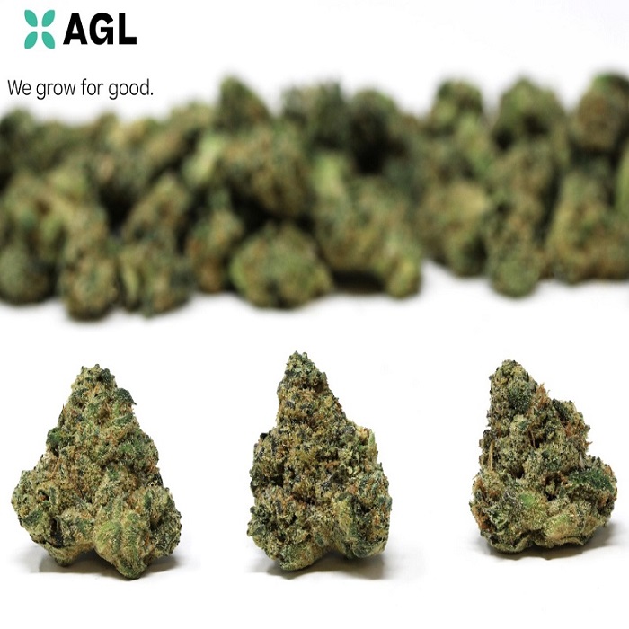 AGL 3.5g Sativarin W Second Cut 20799 Advanced Grow Labs Jane