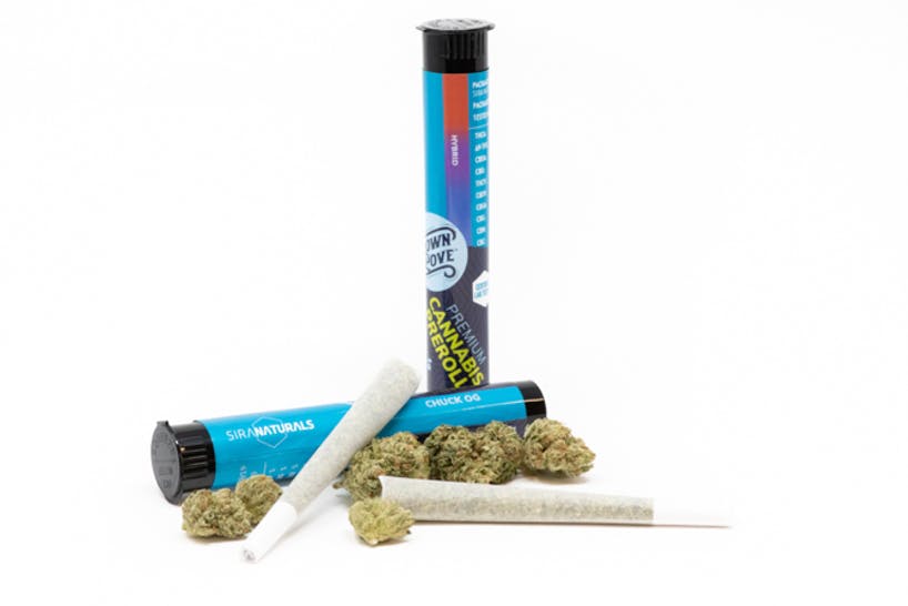 1g 88 G13 Hashplant Preroll LOW COST | SIRA - Jane