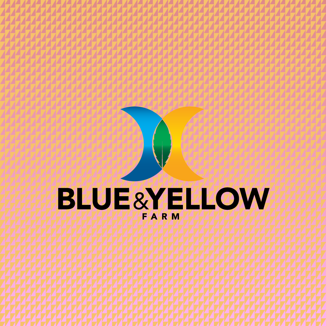 Goofiez MINIs | Blue and Yellow