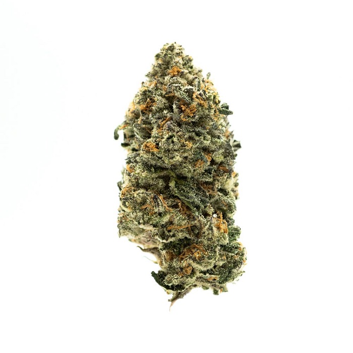 AGL 3.5g Hybridol CM 26.50 20235 Advanced Grow Labs Jane