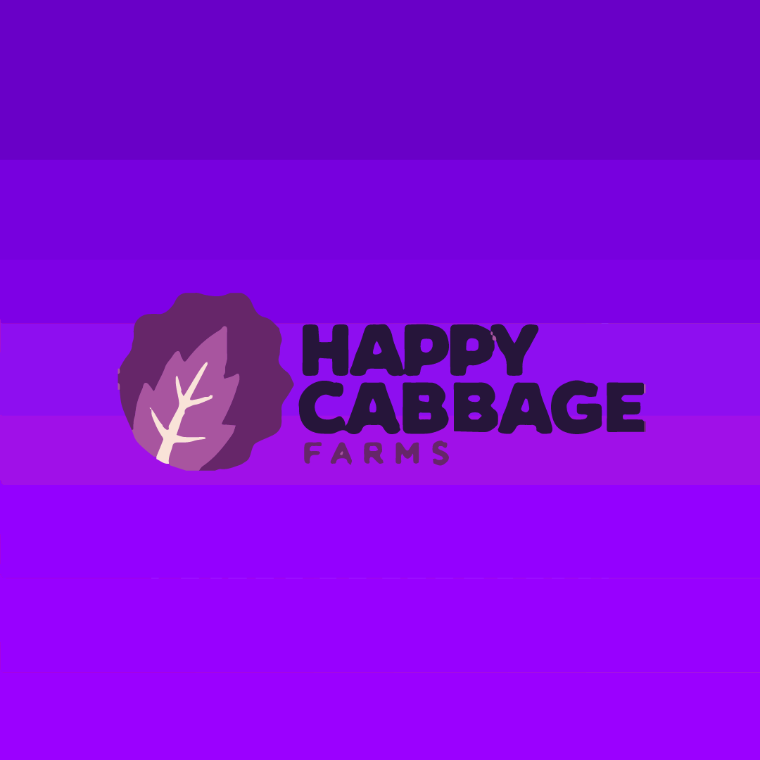 Strawberry Serenity 1:1 CBD 100 Gummy 1pc | Happy Cabbage Farms