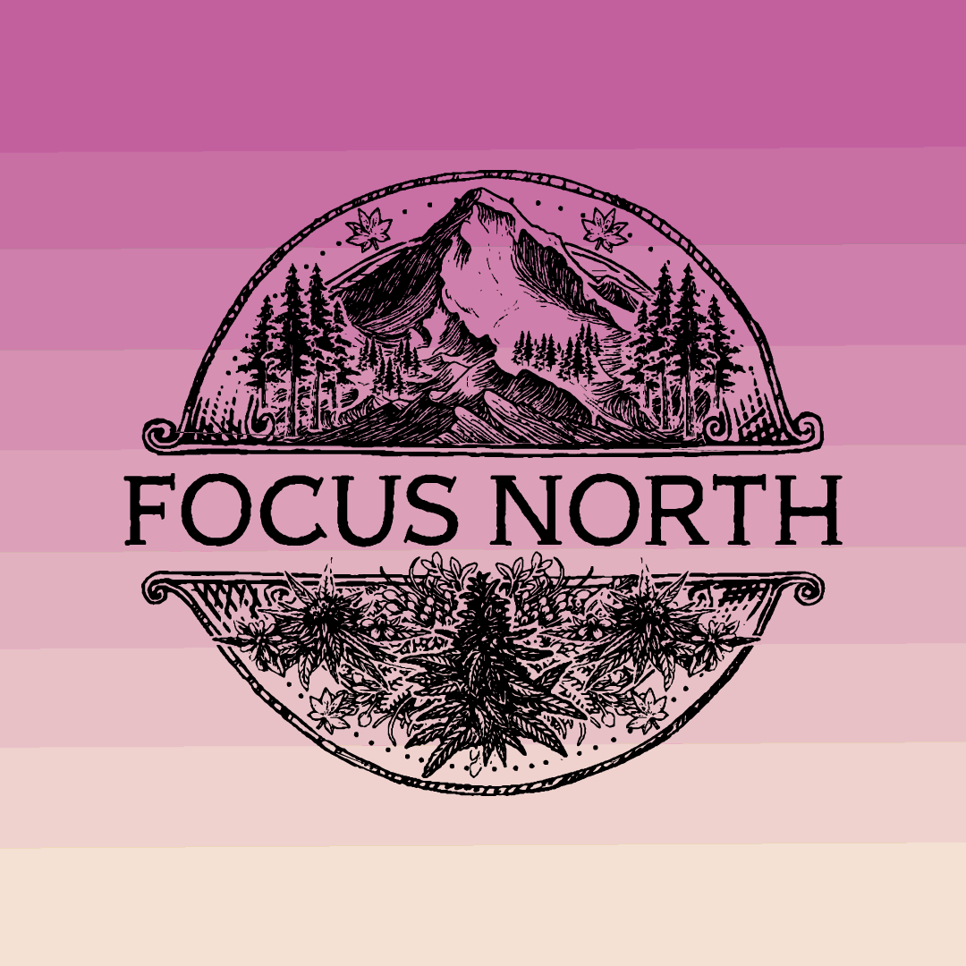 Off World #11 | Focus North
